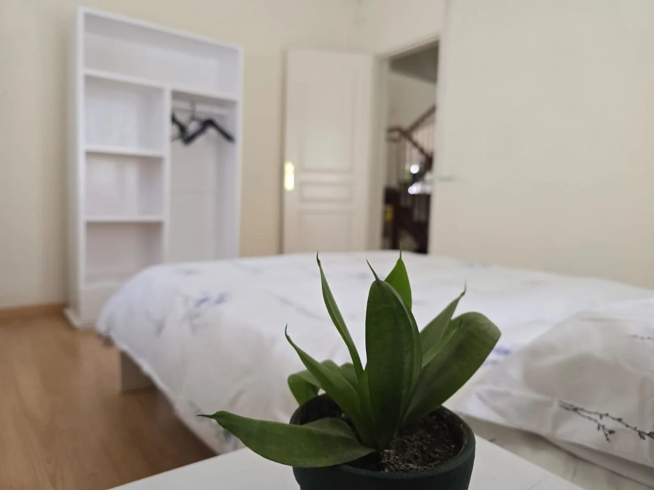 Chambre avec lit double et plante au premier plan